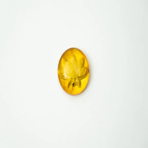 Baltic Amber Bee Engraved Round Cabochon Approx 20mm - Image 4