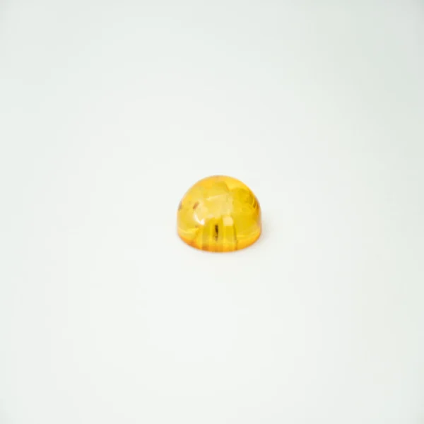 Baltic Amber Bee Engraved Round Cabochon Approx 20mm - Image 2