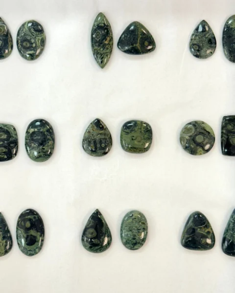 Kambaba Jasper Mixed Shape Cabochons 2pcs - Select Your Own