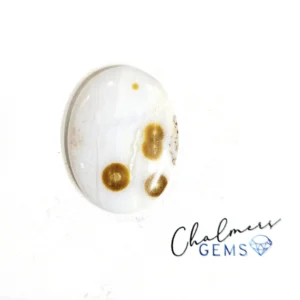 Polka Dot Agate 21x27mm Mixed Shape Cabochon 1pc