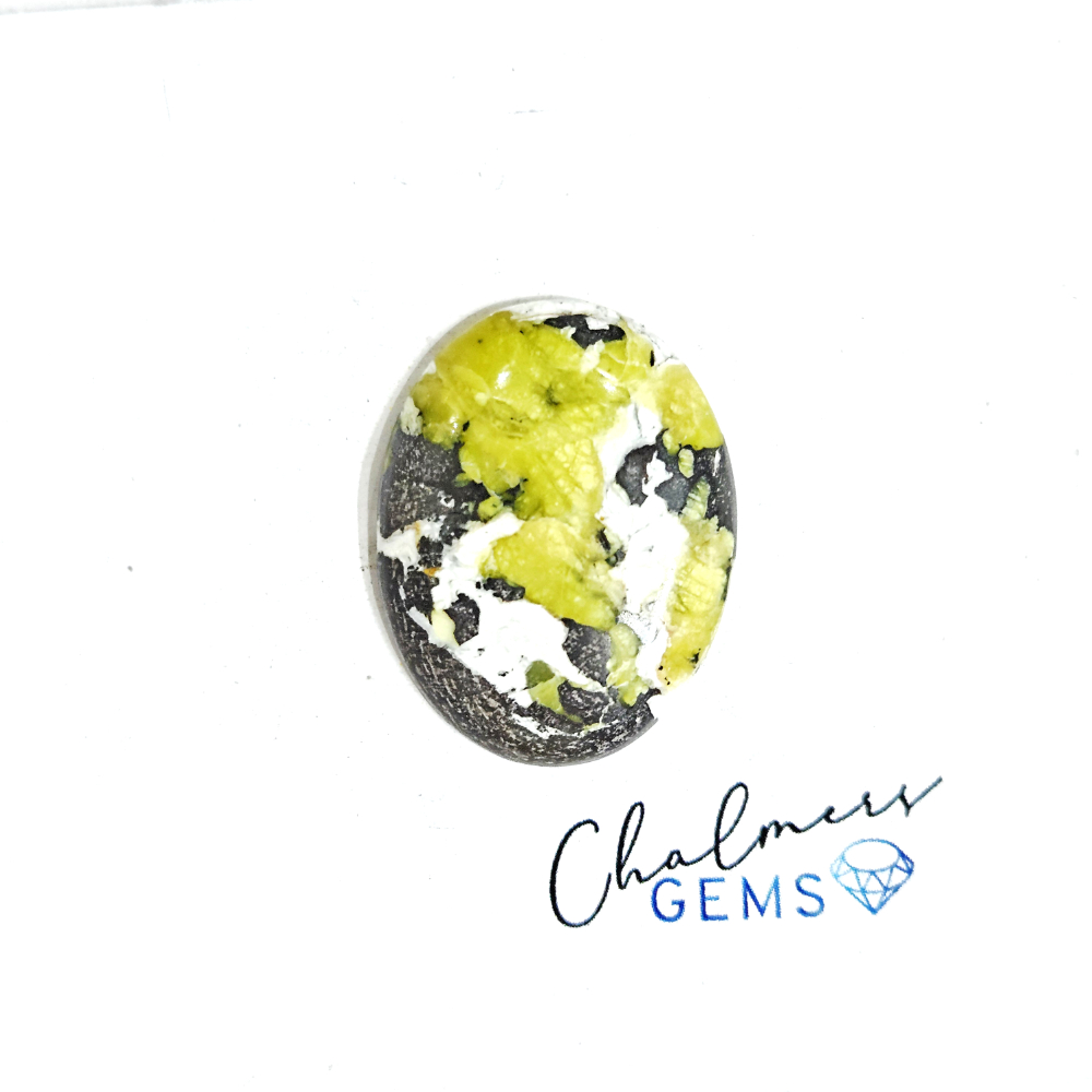 Lizardite 18x24mm Mixed Shape Cabochon 1pc