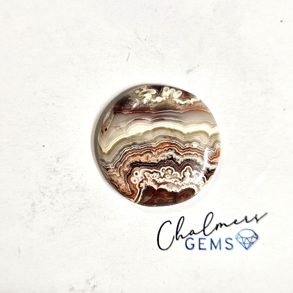 Crazy Lace Agate 22x22mm Mixed Shape Cabochon 1pc
