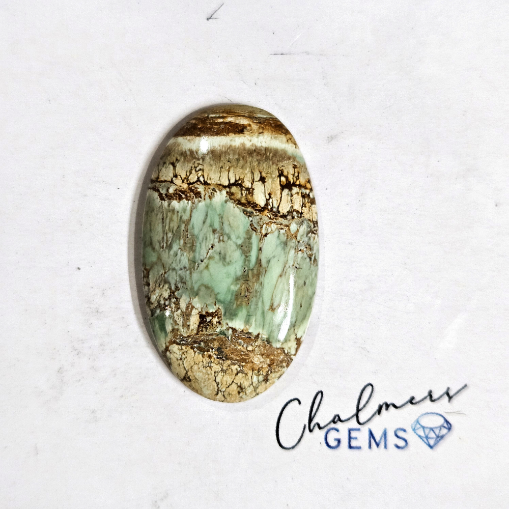 Variscite 19x31mm Mixed Shape Cabochon 1pc