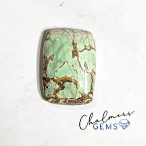 Variscite 19x28mm Mixed Shape Cabochon 1pc