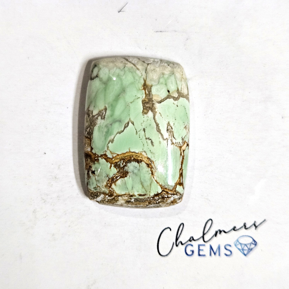 Variscite 19x28mm Mixed Shape Cabochon 1pc